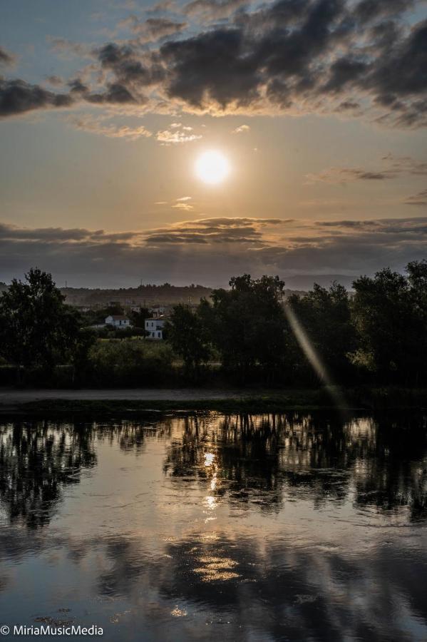 River Ebro Apartments Mora d'Ebre Dış mekan fotoğraf