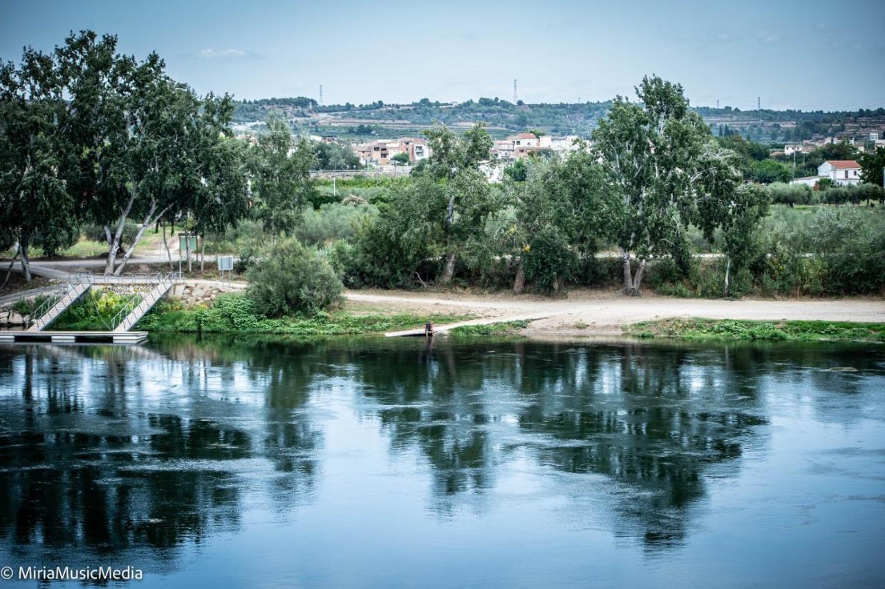 River Ebro Apartments Mora d'Ebre Dış mekan fotoğraf