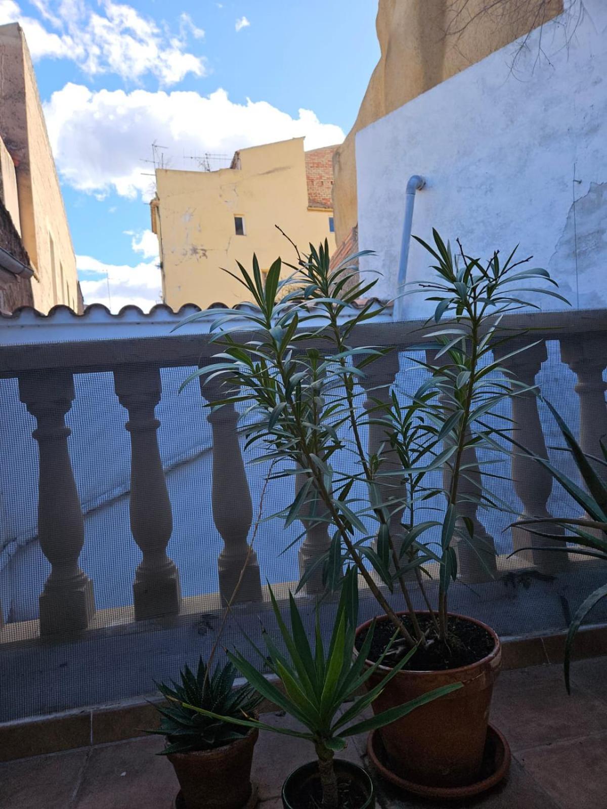 River Ebro Apartments Mora d'Ebre Dış mekan fotoğraf