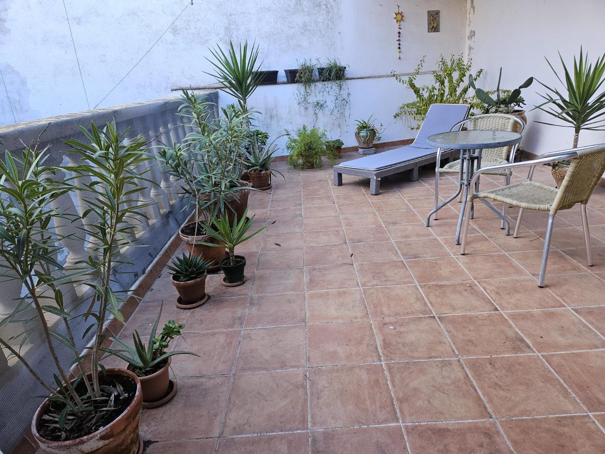 River Ebro Apartments Mora d'Ebre Dış mekan fotoğraf